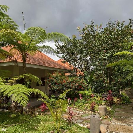 Ara Garden Inn, Accommodation, Yoga Studio & Spa Ruteng Exterior foto
